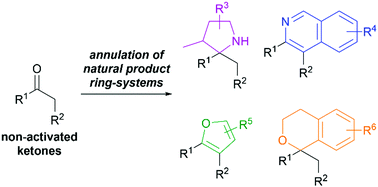 Graphical abstract: Ketones as strategic building blocks for the synthesis of natural product-inspired compounds
