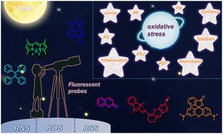 Graphical abstract: Recent progress in the development of fluorescent probes for imaging pathological oxidative stress
