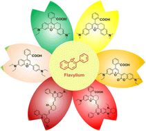 Graphical abstract: Natural flavylium-inspired far-red to NIR-II dyes and their applications as fluorescent probes for biomedical sensing