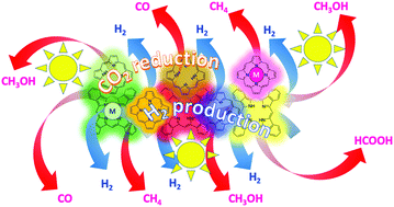 Graphical abstract: Porphyrins and phthalocyanines as biomimetic tools for photocatalytic H2 production and CO2 reduction