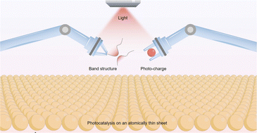 Graphical abstract: Photocatalysis with atomically thin sheets