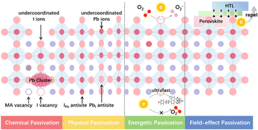 Graphical abstract: Rationalization of passivation strategies toward high-performance perovskite solar cells