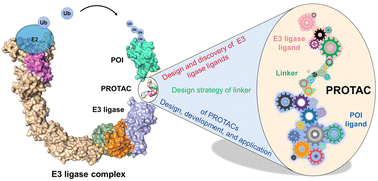 Graphical abstract: Chemistries of bifunctional PROTAC degraders