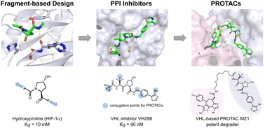 Graphical abstract: Discovery of small molecule ligands for the von Hippel-Lindau (VHL) E3 ligase and their use as inhibitors and PROTAC degraders