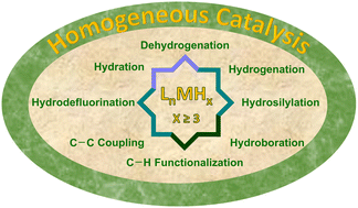 Graphical abstract: Homogeneous catalysis with polyhydride complexes