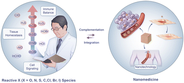 Graphical abstract: Reactive X (where X = O, N, S, C, Cl, Br, and I) species nanomedicine