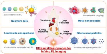 Graphical abstract: Emerging ultrasmall luminescent nanoprobes for in vivo bioimaging