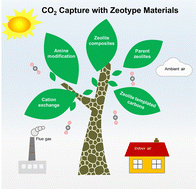 Graphical abstract: Carbon dioxide capture with zeotype materials