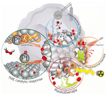 Graphical abstract: Platinum nanoplatforms: classic catalysts claiming a prominent role in cancer therapy
