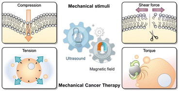 Graphical abstract: Mechanical stimuli-driven cancer therapeutics