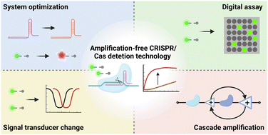 Graphical abstract: Amplification-free CRISPR/Cas detection technology: challenges, strategies, and perspectives