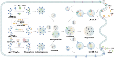 Graphical abstract: Emerging degrader technologies engaging lysosomal pathways