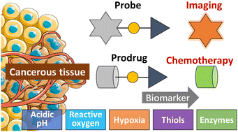 Graphical abstract: The design of small-molecule prodrugs and activatable phototherapeutics for cancer therapy