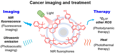 Graphical abstract: Near-infrared (NIR) fluorescence-emitting small organic molecules for cancer imaging and therapy
