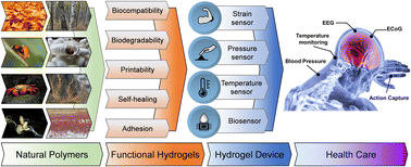Graphical abstract: Naturally sourced hydrogels: emerging fundamental materials for next-generation healthcare sensing