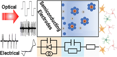 Graphical abstract: Semiconducting electrodes for neural interfacing: a review