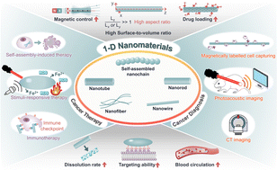 Graphical abstract: One-dimensional nanomaterials for cancer therapy and diagnosis