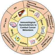 Graphical abstract: Immunological nanomaterials to combat cancer metastasis