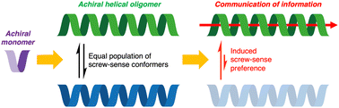 Graphical abstract: Screw sense and screw sensibility: communicating information by conformational switching in helical oligomers