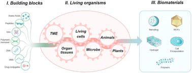 Graphical abstract: Synthesizing biomaterials in living organisms