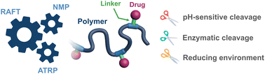 Graphical abstract: Stimuli-sensitive polymer prodrug nanocarriers by reversible-deactivation radical polymerization
