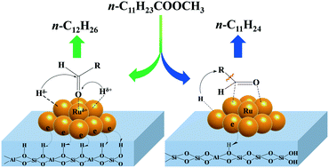 Graphical abstract: Influence of Brønsted acid sites on the product distribution in the hydrodeoxygenation of methyl laurate over supported Ru catalysts