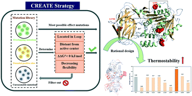 Graphical abstract: Enhancing thermostability of lipase from Pseudomonas alcaligenes for producing l-menthol by the CREATE strategy