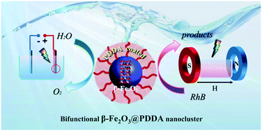 Graphical abstract: Bifunctional PDDA-stabilized β-Fe2O3 nanoclusters for improved photoelectrocatalytic and magnetic field enhanced photocatalytic applications