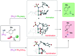 Graphical abstract: A comparative study of Rh2-catalyzed intermolecular nitrene transfer reactions: mechanism and chemoselectivity