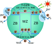 Graphical abstract: Amorphous CoSx decorated Cd0.5Zn0.5S with a bulk-twinned homojunction for efficient photocatalytic hydrogen evolution