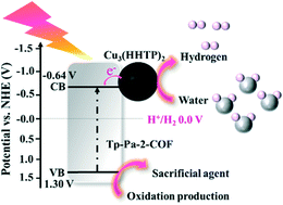 Graphical abstract: Boosting photocatalytic hydrogen evolution of covalent organic frameworks by introducing 2D conductive metal–organic frameworks as noble metal-free co-catalysts