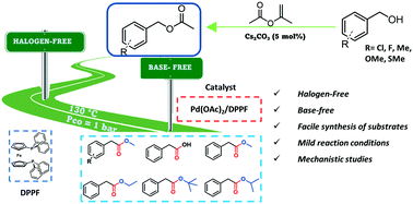 Graphical abstract: A sustainable route for the synthesis of alkyl arylacetates via halogen and base free carbonylation of benzyl acetates