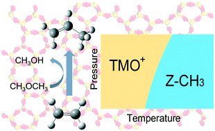 Graphical abstract: Trimethyloxonium ion – a zeolite confined mobile and efficient methyl carrier at low temperatures: a DFT study coupled with microkinetic analysis