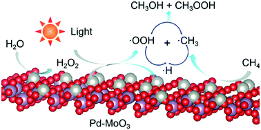 Graphical abstract: Selective oxidation of methane to methanol and methyl hydroperoxide over palladium modified MoO3 photocatalyst under ambient conditions