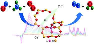 Graphical abstract: In situ DRIFT studies on N2O formation over Cu-functionalized zeolites during ammonia-SCR