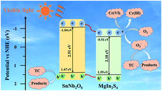 Graphical abstract: Construction of SnNb2O6/MgIn2S4 heterojunction photocatalysts with enhanced visible-light-driven activity for tetracycline hydrochloride degradation and Cr(vi) reduction