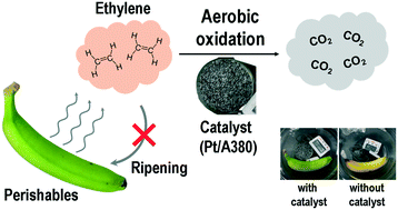 Graphical abstract: Ethylene oxidation activity of silica-supported platinum catalysts for the preservation of perishables