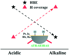 Graphical abstract: Electrolyte pH-dependent hydrogen binding energies and coverages on platinum, iridium, rhodium, and ruthenium surfaces