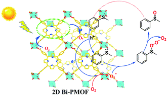 Graphical abstract: A two-dimensional Bi-based porphyrin metal–organic framework photocatalyst for white light-driven selective oxidation of sulfides