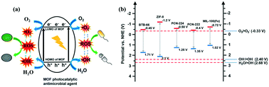 Graphical abstract: Metal–organic-framework-based photocatalysts for microorganism inactivation: a review