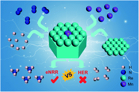 Graphical abstract: Electroreduction of N2 to NH3 catalyzed by a Mn/Re(111) single-atom alloy catalyst with high activity and selectivity: a new insight from a first-principles study