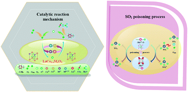 Graphical abstract: Dopant-driven tuning of toluene oxidation and sulfur resistance at the B-site of LaCo1−xMxO3 (M = Fe, Cr, Cu) perovskites