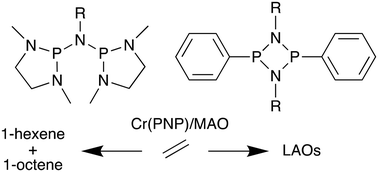 Graphical abstract: Single- and double-bridged PNP ligands in chromium-catalysed ethylene oligomerisation