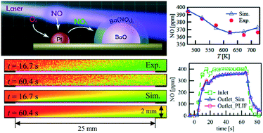 Graphical abstract: Experimental and numerical investigation of NO oxidation on Pt/Al2O3- and NOx storage on Pt/BaO/Al2O3-catalysts