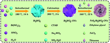 Graphical abstract: Photo-Fenton and oxygen vacancies' synergy for enhancing catalytic activity with S-scheme FeS2/Bi2WO6 heterostructure