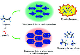 Graphical abstract: Heterogeneous parahydrogen induced polarization on Rh-containing silicalite-1 zeolites: effect of the catalyst structure on signal enhancement