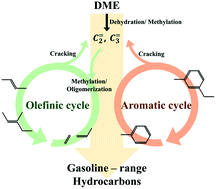 Graphical abstract: Mechanistic kinetic modeling for catalytic conversion of DME to gasoline-range hydrocarbons over nanostructured ZSM-5