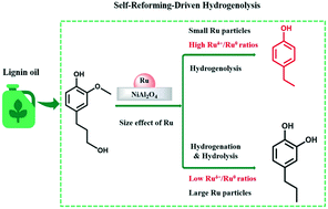 Graphical abstract: Size effect of Ru particles on the self-reforming-driven hydrogenolysis of a lignin model compound