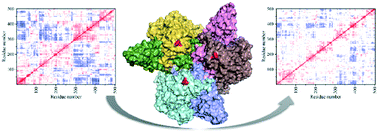 Graphical abstract: Improving the activity and synergistic catalysis of l-aspartate β-decarboxylase by arginine introduction on the surface