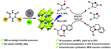 Graphical abstract: CsPbBr3 perovskite quantum dots as a visible light photocatalyst for cyclisation of diamines and amino alcohols: an efficient approach to synthesize imidazolidines, fused-imidazolidines and oxazolidines